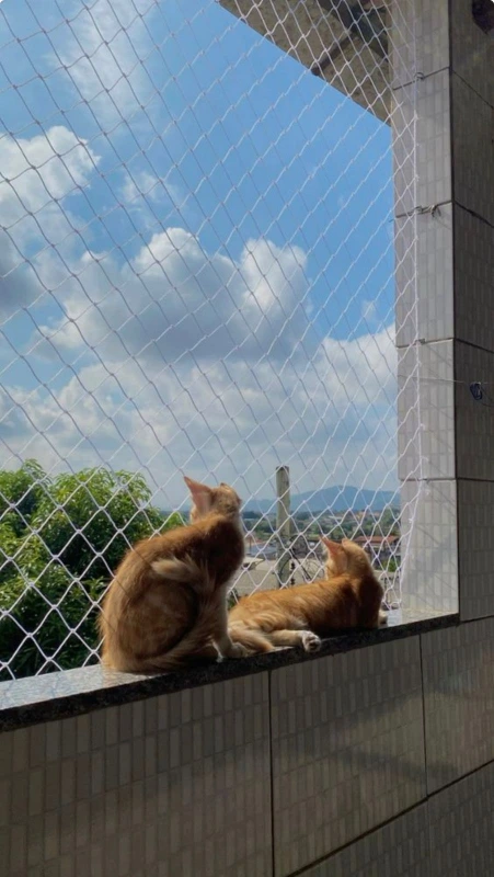 Instalação de rede de proteção animal no Litoral Paulista