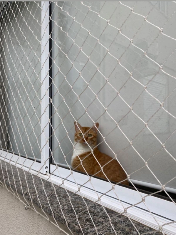 Instalação de rede de proteção animal no Litoral Paulista