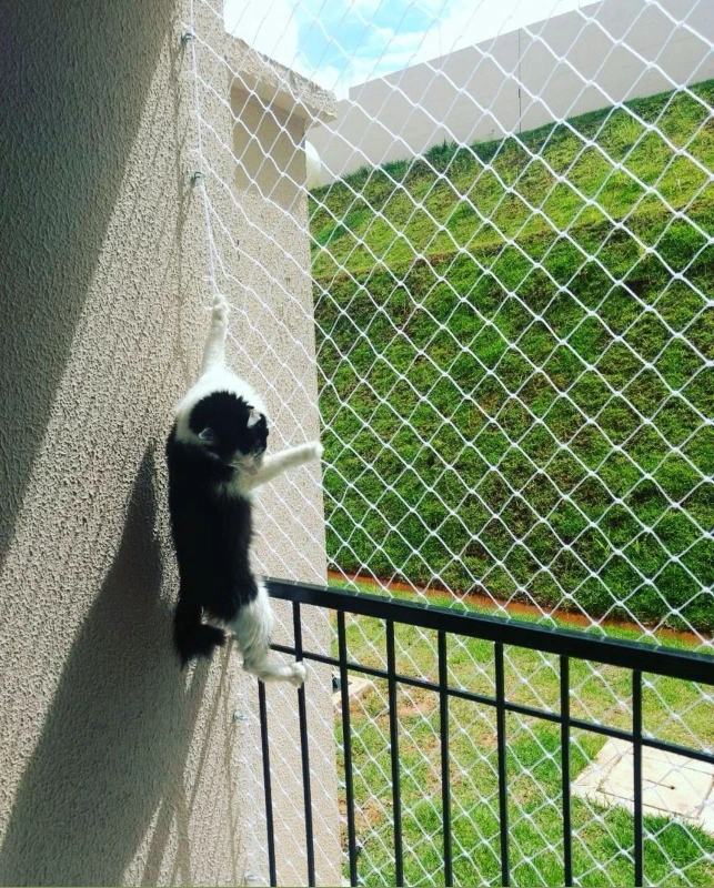 Instalação de rede de proteção animal no Litoral Paulista