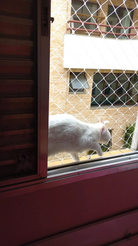 Instalação de rede de protecao para janela no Litoral Paulista