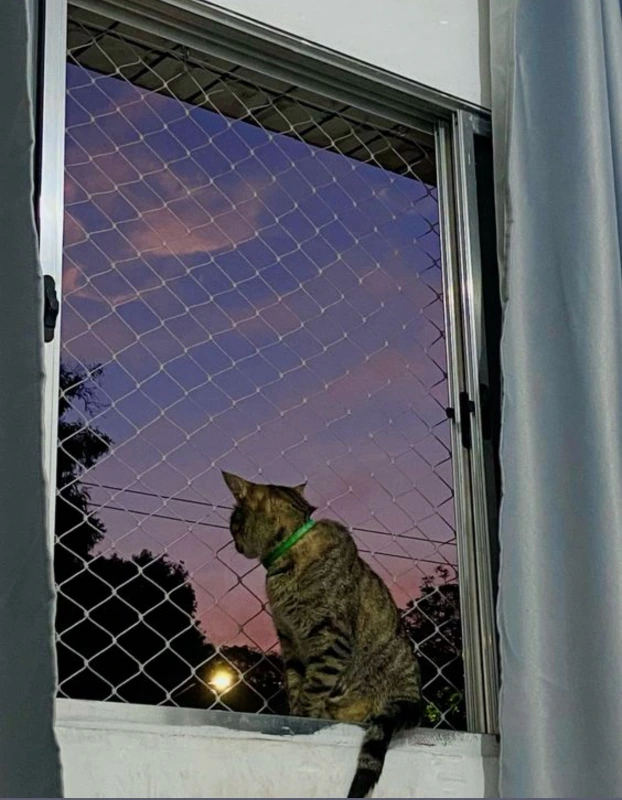 Instalação de rede de proteção de janelas para pets