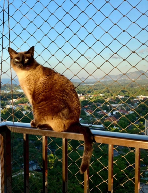 Instalação de rede proteção de varanda para pets