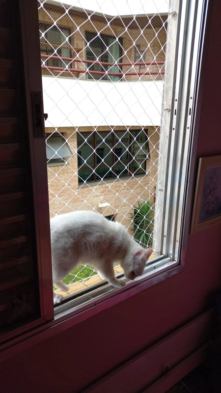 Instalação de tela de proteção para cachorro no Litoral Paulista