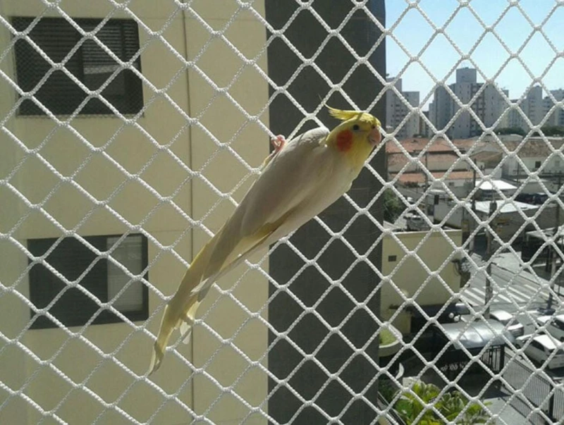 Rede anti pássaros no Litoral Paulista