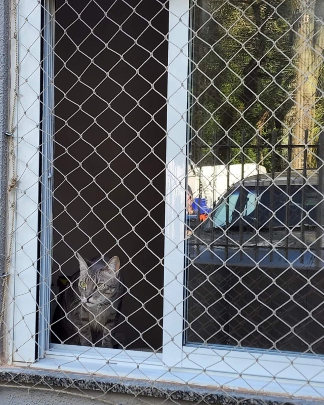 Rede para janela removível no Litoral Paulista