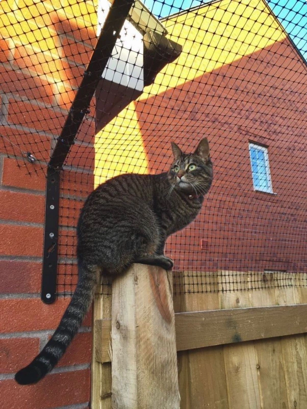 Redes de proteção para pets