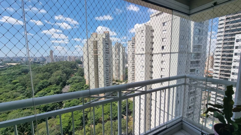 Tela de proteção para cachorro no Litoral Paulista