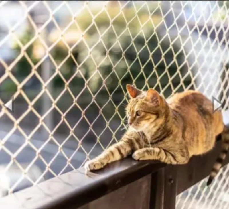 Tela de proteção para gatos no Litoral Paulista