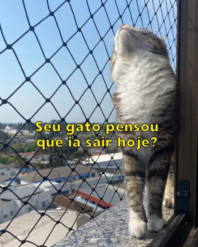 Tela de proteção para gatos no Litoral Paulista