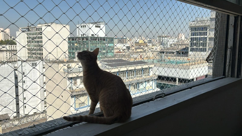 Tela de proteção para gatos removível